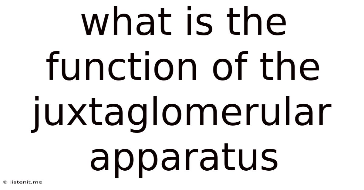 What Is The Function Of The Juxtaglomerular Apparatus