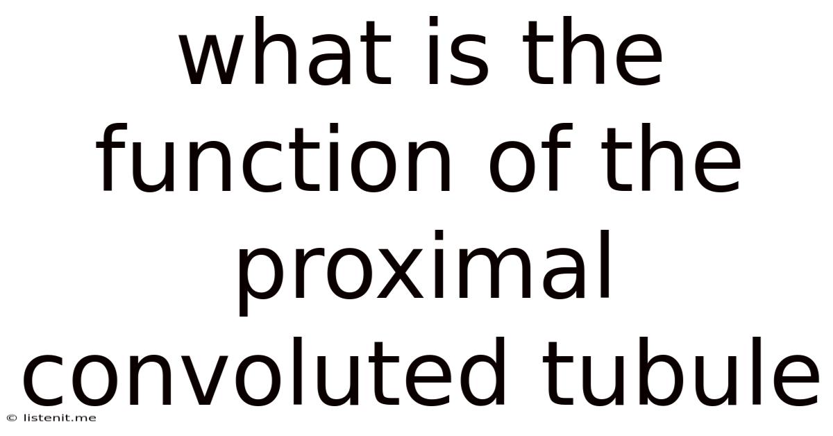 What Is The Function Of The Proximal Convoluted Tubule