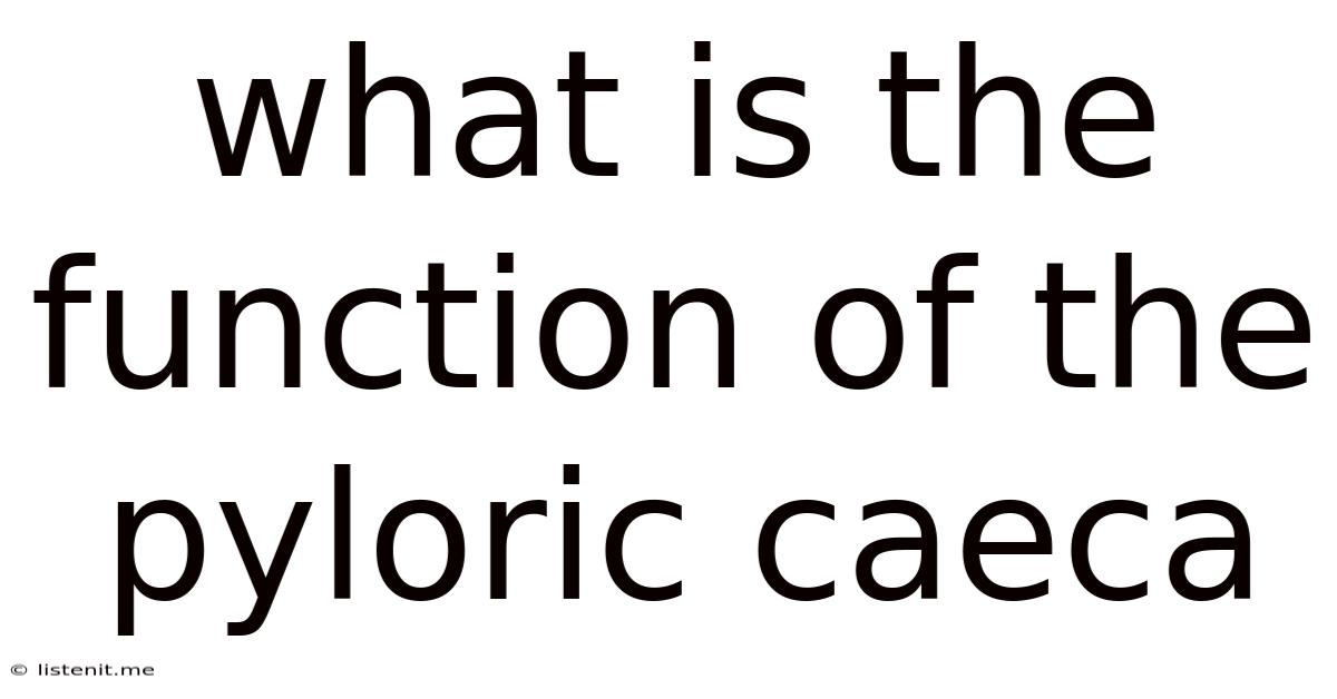 What Is The Function Of The Pyloric Caeca