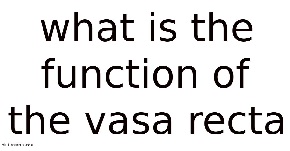 What Is The Function Of The Vasa Recta