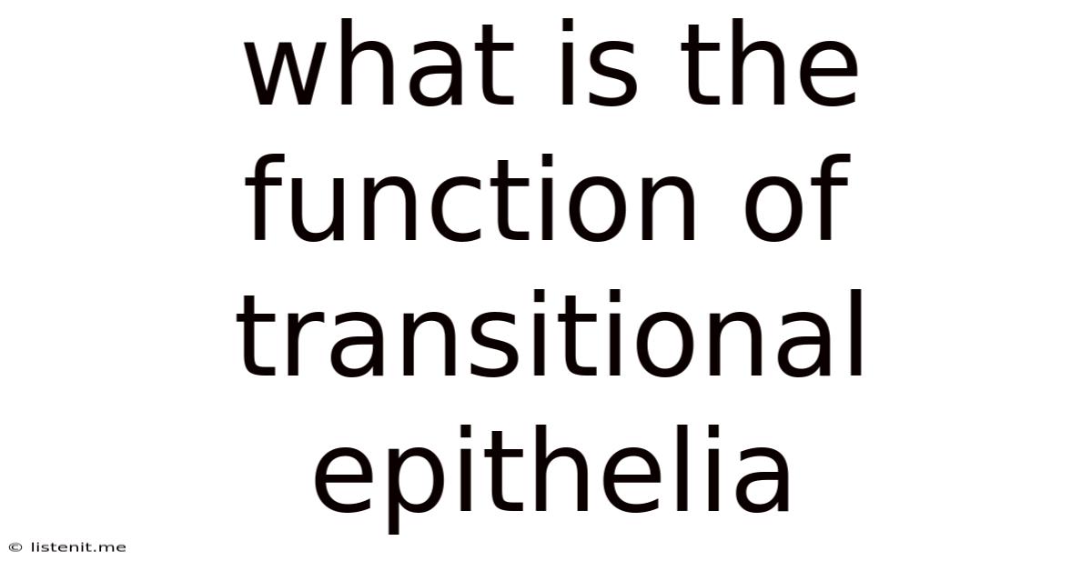 What Is The Function Of Transitional Epithelia