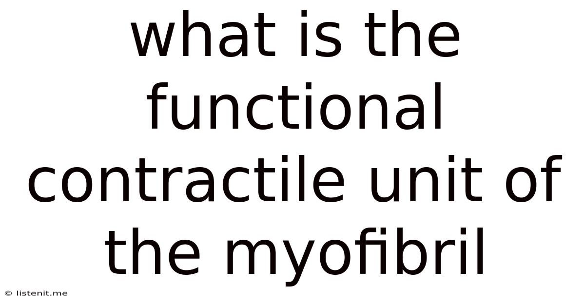 What Is The Functional Contractile Unit Of The Myofibril