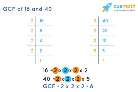 What Is The Gcf Of 16 And 40