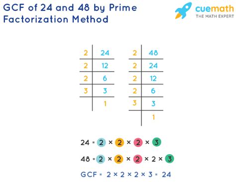 What Is The Gcf Of 48 And 24