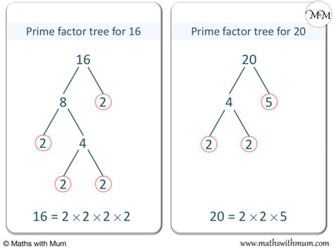 What Is The Highest Common Factor Of 16 And 20