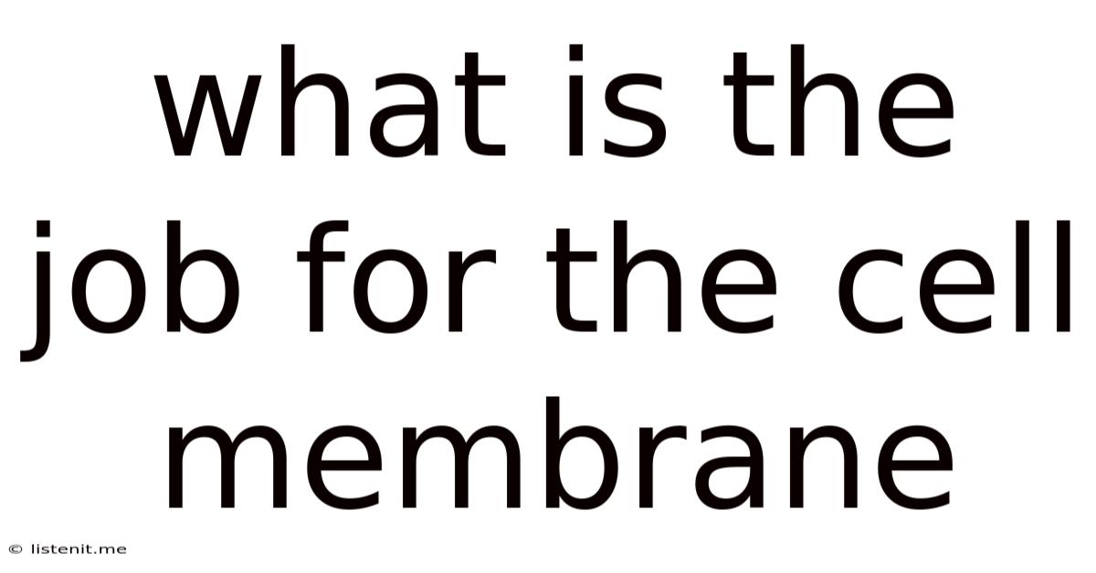 What Is The Job For The Cell Membrane