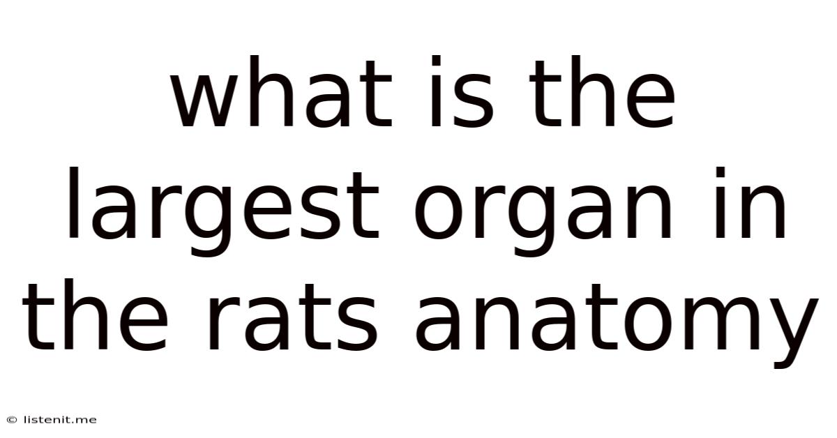 What Is The Largest Organ In The Rats Anatomy