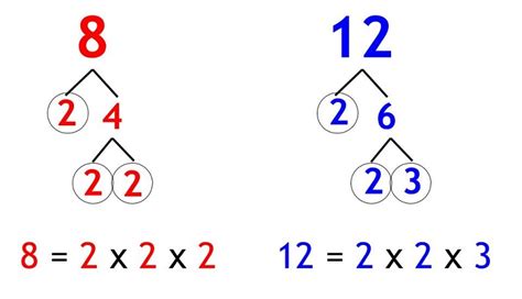 What Is The Least Common Factor Of 3 And 8