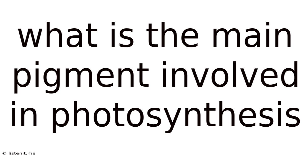 What Is The Main Pigment Involved In Photosynthesis