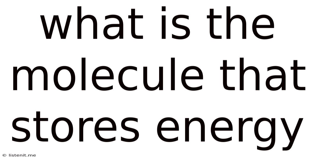 What Is The Molecule That Stores Energy