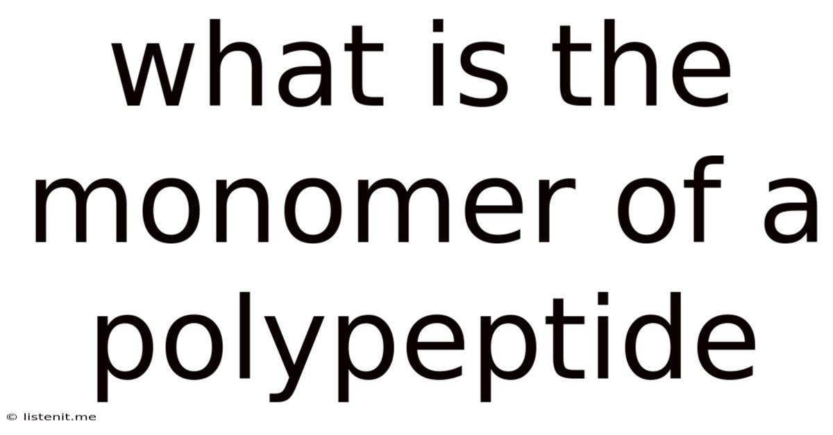 What Is The Monomer Of A Polypeptide