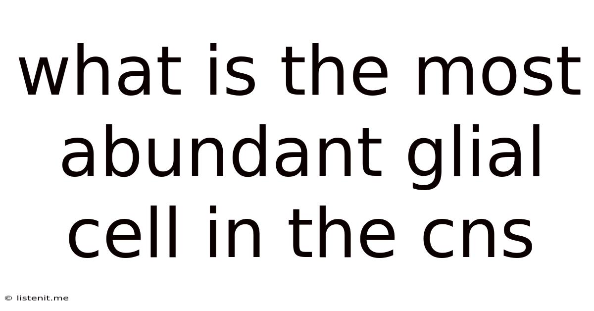 What Is The Most Abundant Glial Cell In The Cns