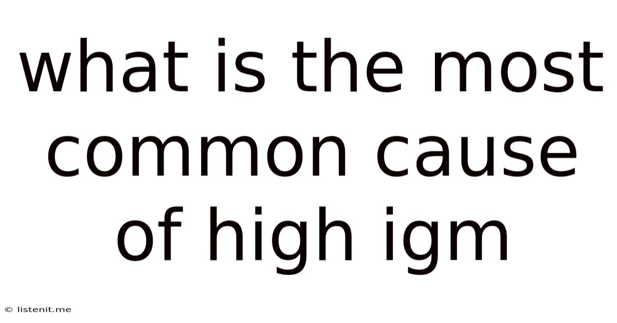 What Is The Most Common Cause Of High Igm