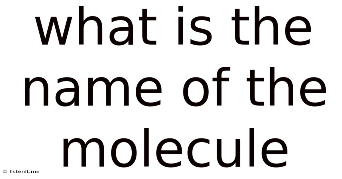 What Is The Name Of The Molecule