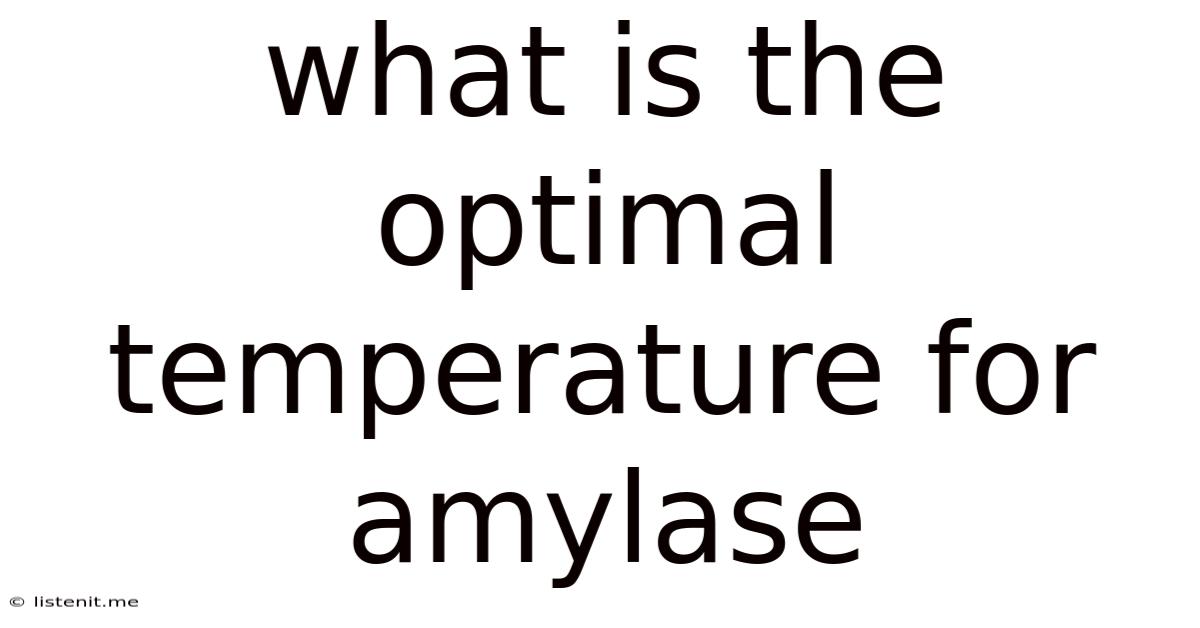 What Is The Optimal Temperature For Amylase