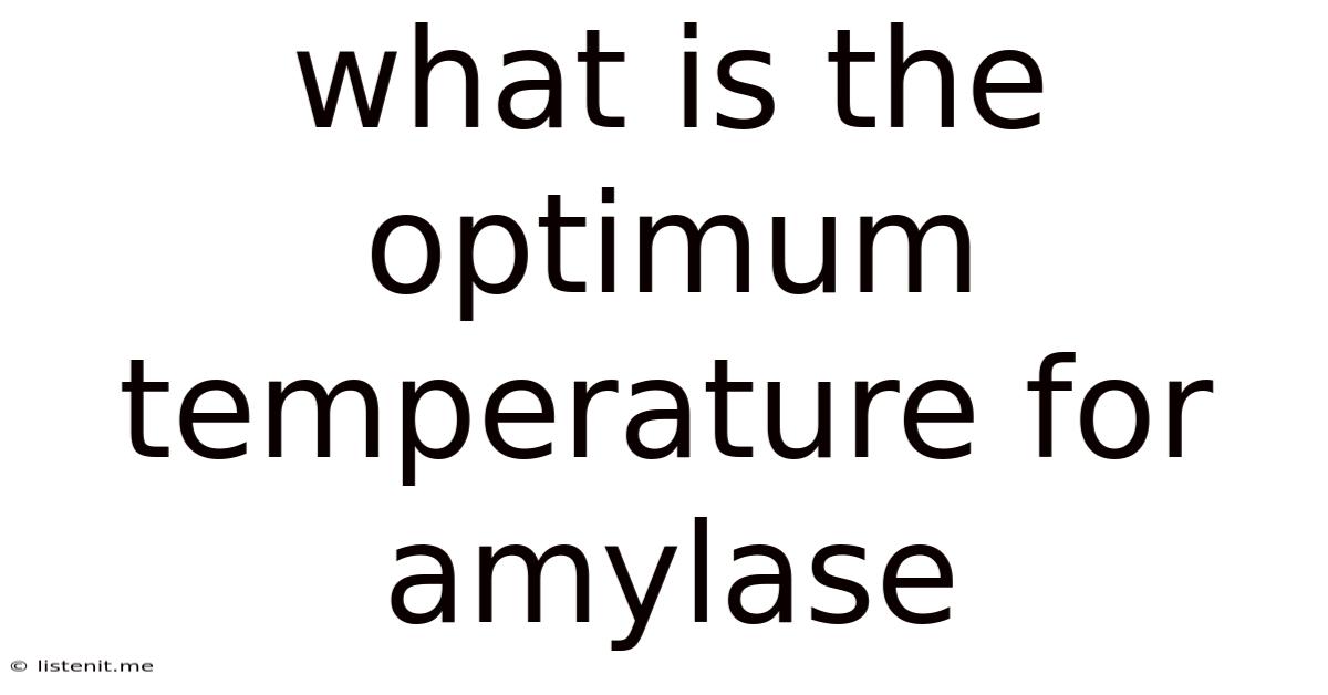 What Is The Optimum Temperature For Amylase