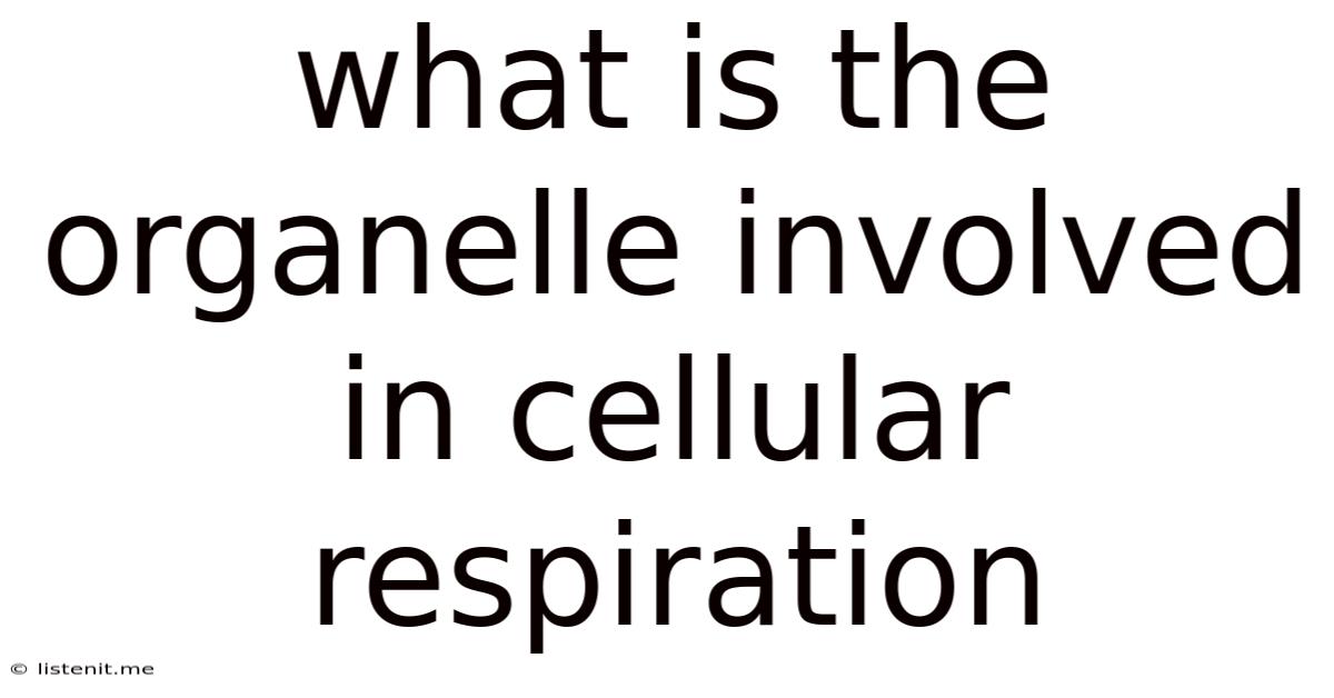 What Is The Organelle Involved In Cellular Respiration