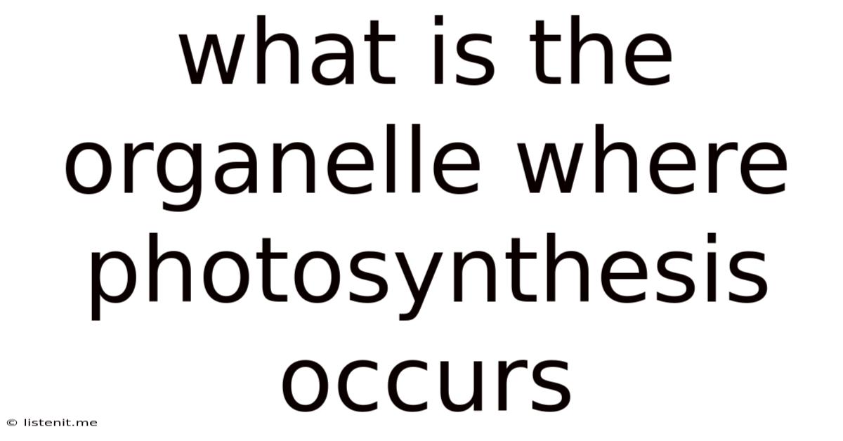 What Is The Organelle Where Photosynthesis Occurs