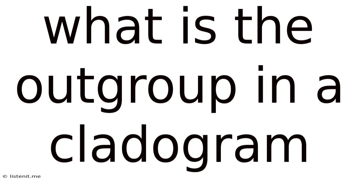 What Is The Outgroup In A Cladogram
