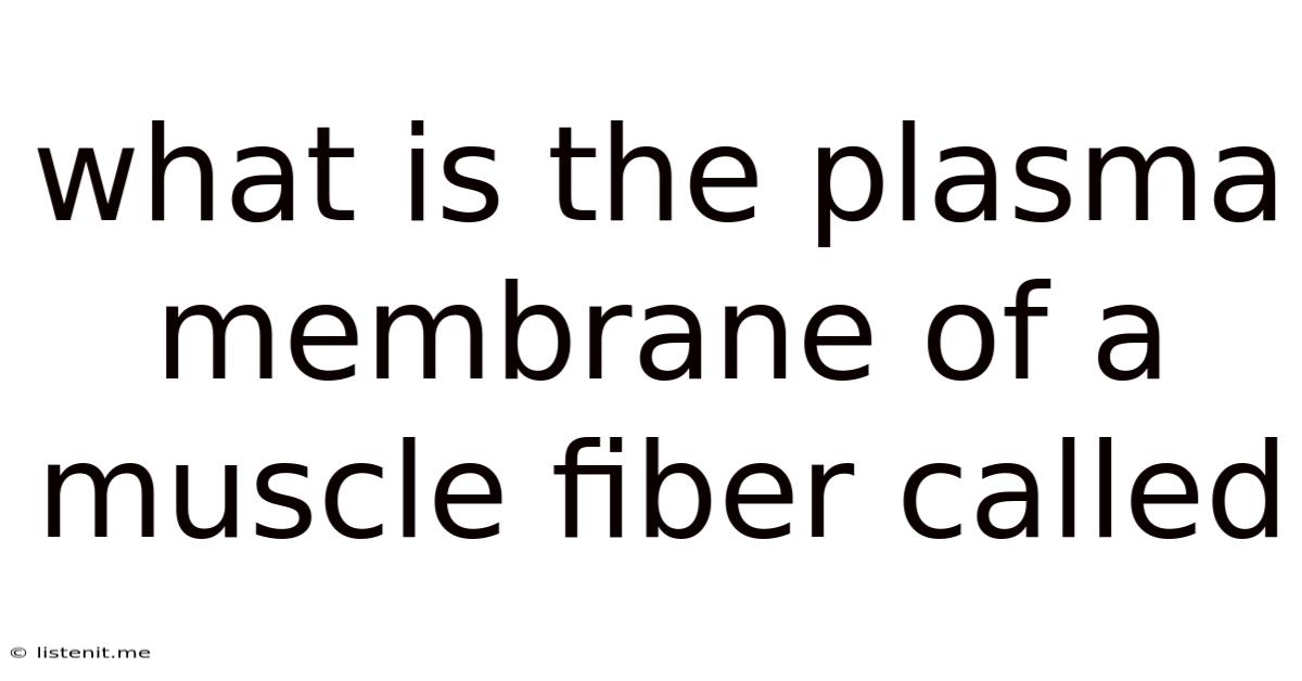 What Is The Plasma Membrane Of A Muscle Fiber Called