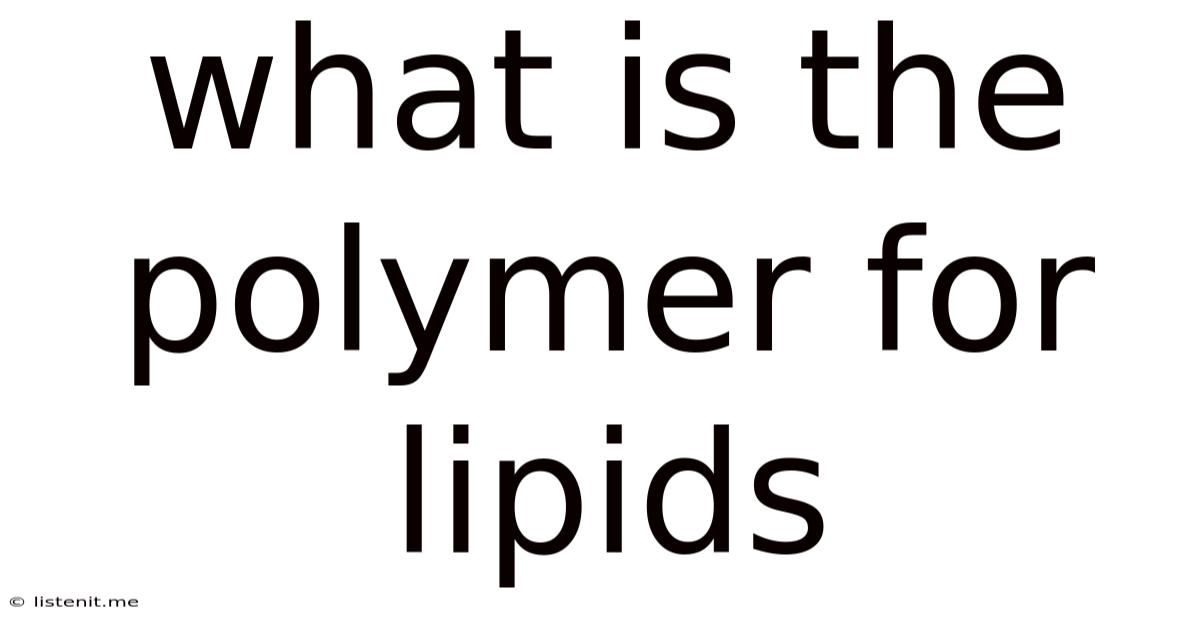 What Is The Polymer For Lipids