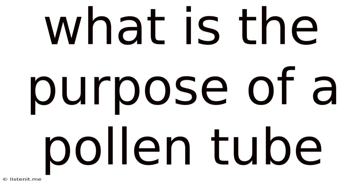 What Is The Purpose Of A Pollen Tube