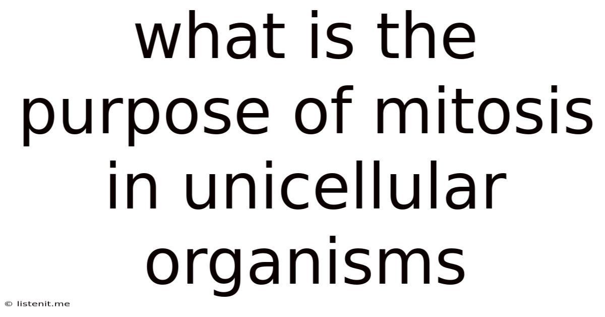 What Is The Purpose Of Mitosis In Unicellular Organisms