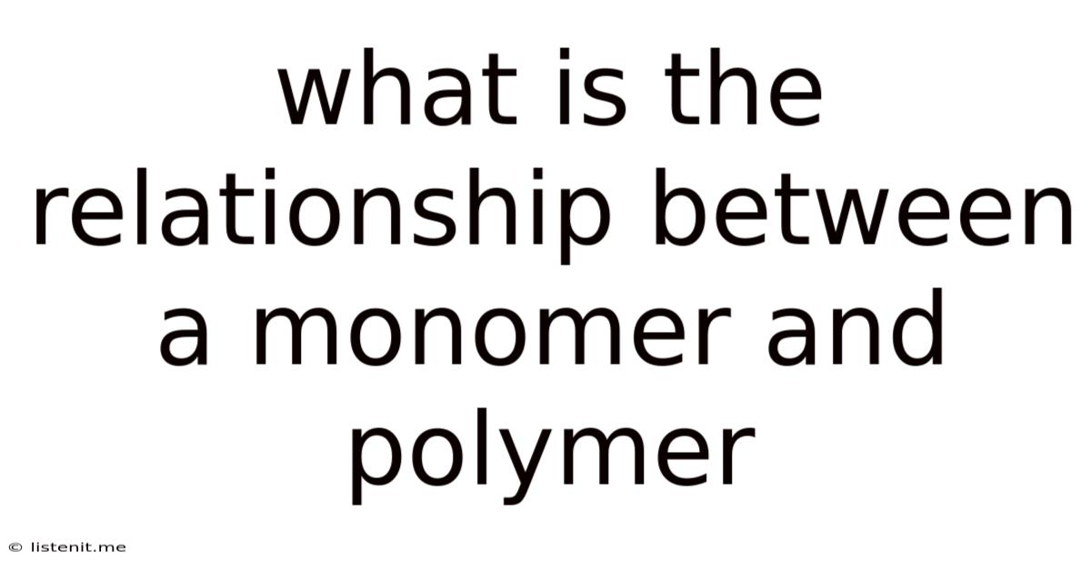 What Is The Relationship Between A Monomer And Polymer