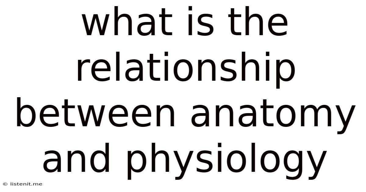 What Is The Relationship Between Anatomy And Physiology