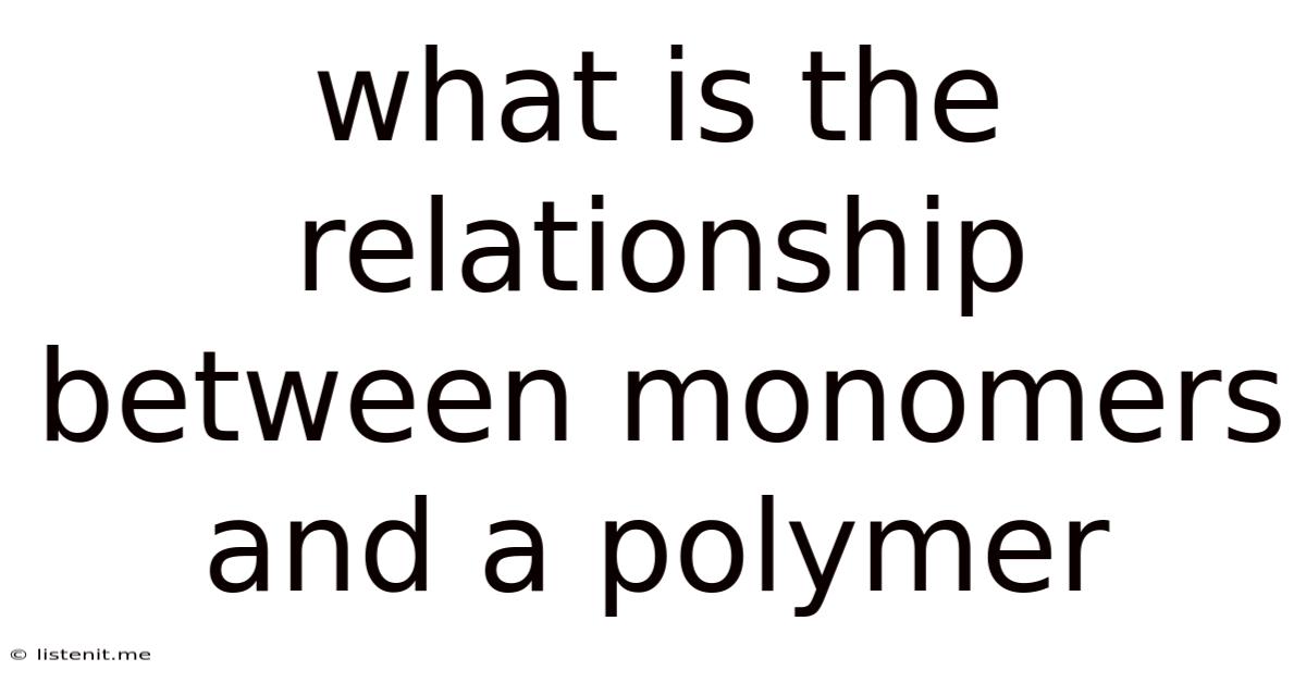 What Is The Relationship Between Monomers And A Polymer