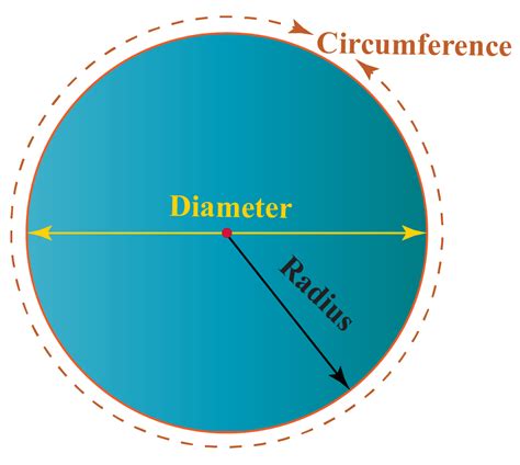 What Is The Relationship Between The Diameter And Circumference