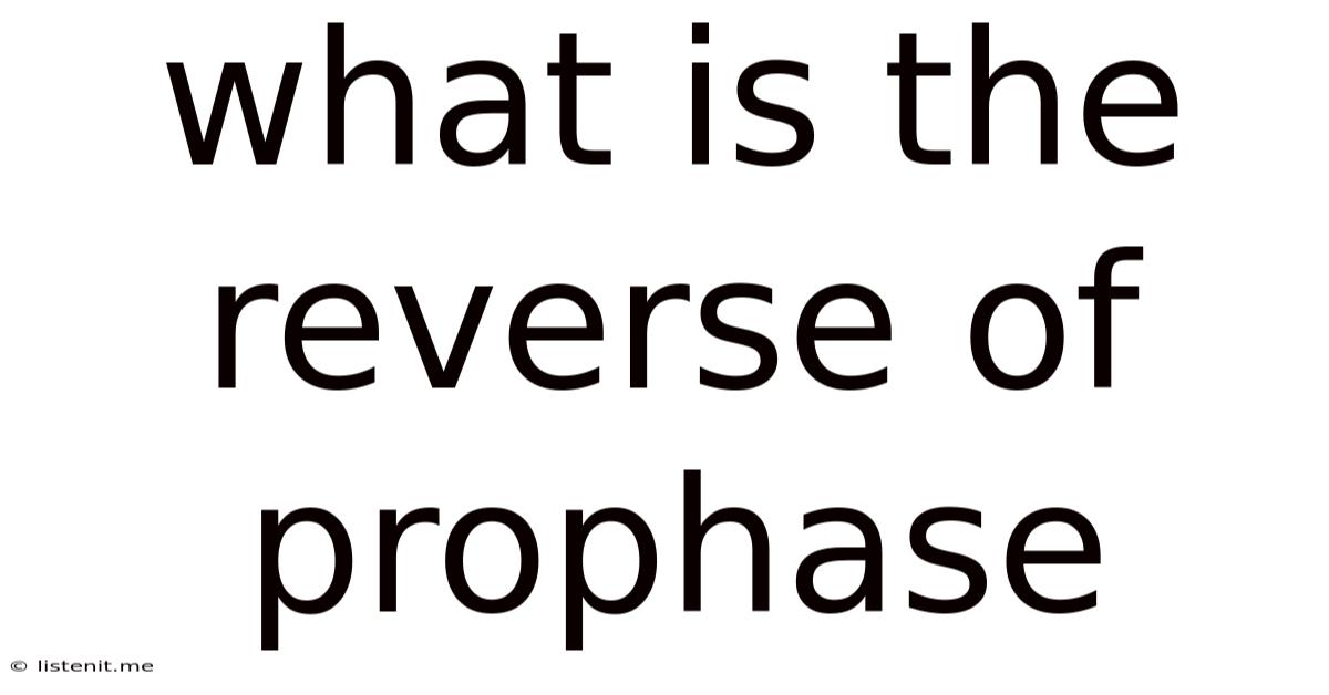 What Is The Reverse Of Prophase