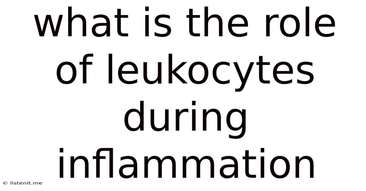 What Is The Role Of Leukocytes During Inflammation