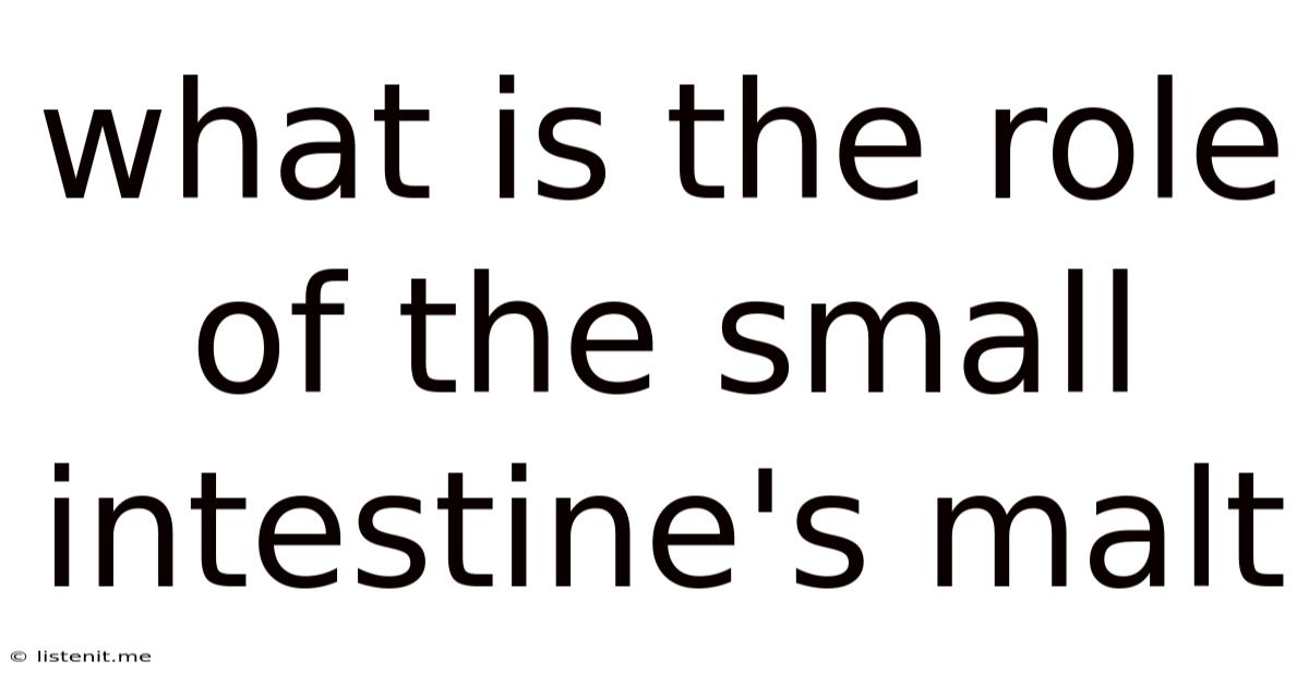 What Is The Role Of The Small Intestine's Malt