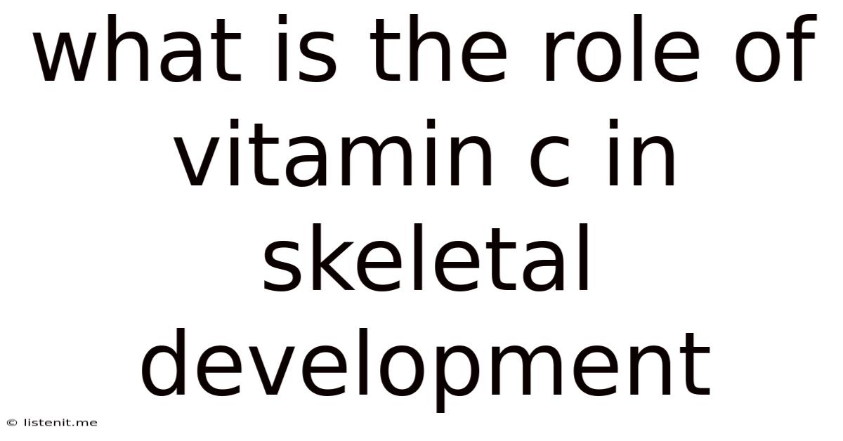 What Is The Role Of Vitamin C In Skeletal Development
