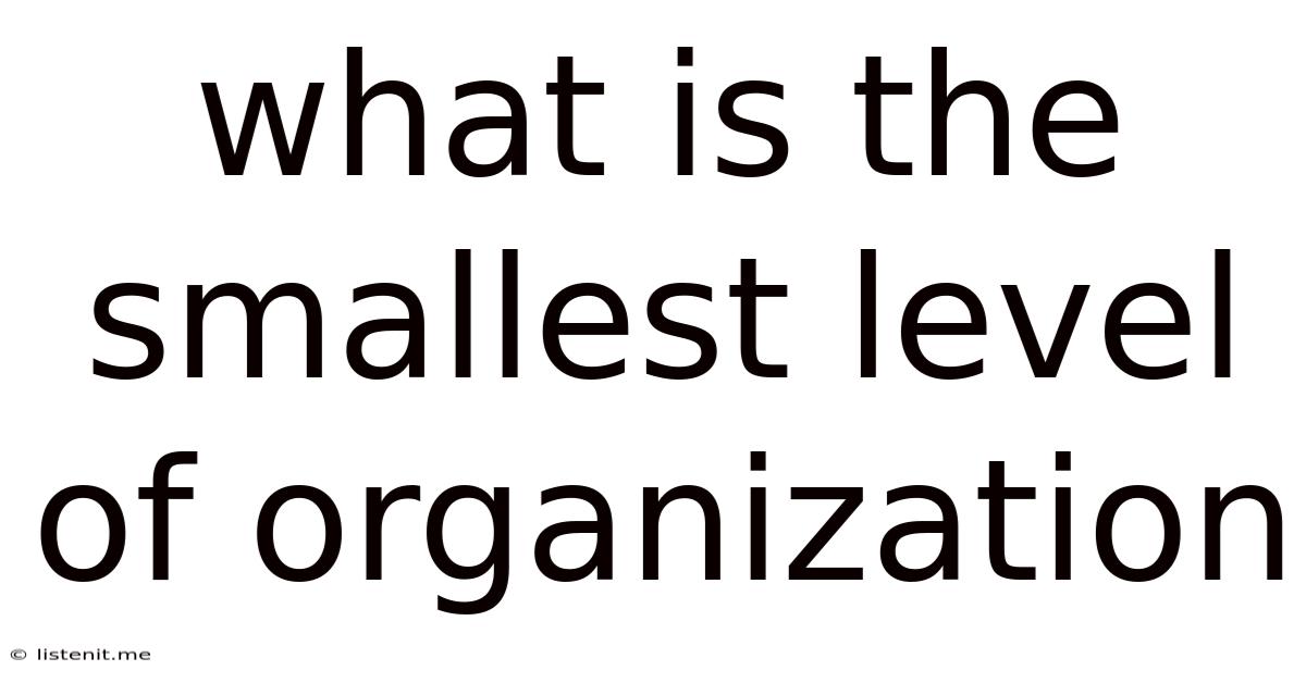 What Is The Smallest Level Of Organization