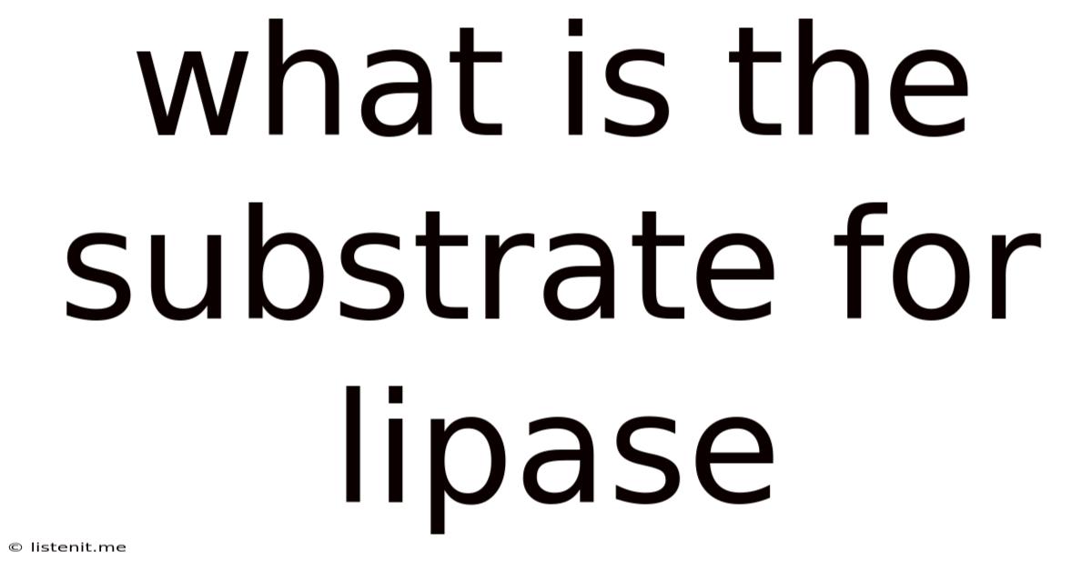 What Is The Substrate For Lipase