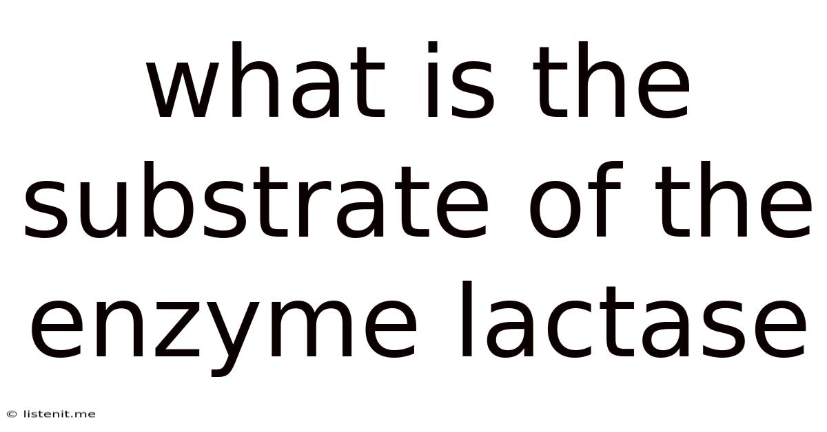 What Is The Substrate Of The Enzyme Lactase