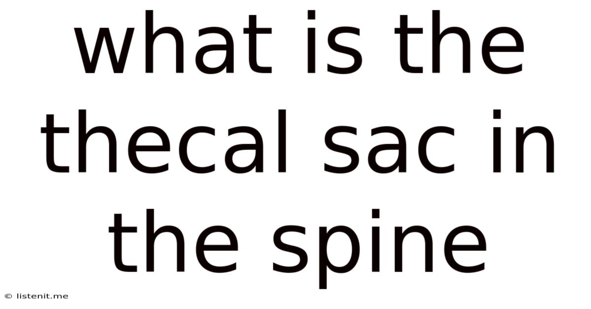 What Is The Thecal Sac In The Spine