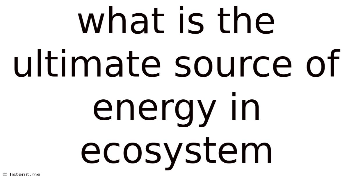 What Is The Ultimate Source Of Energy In Ecosystem
