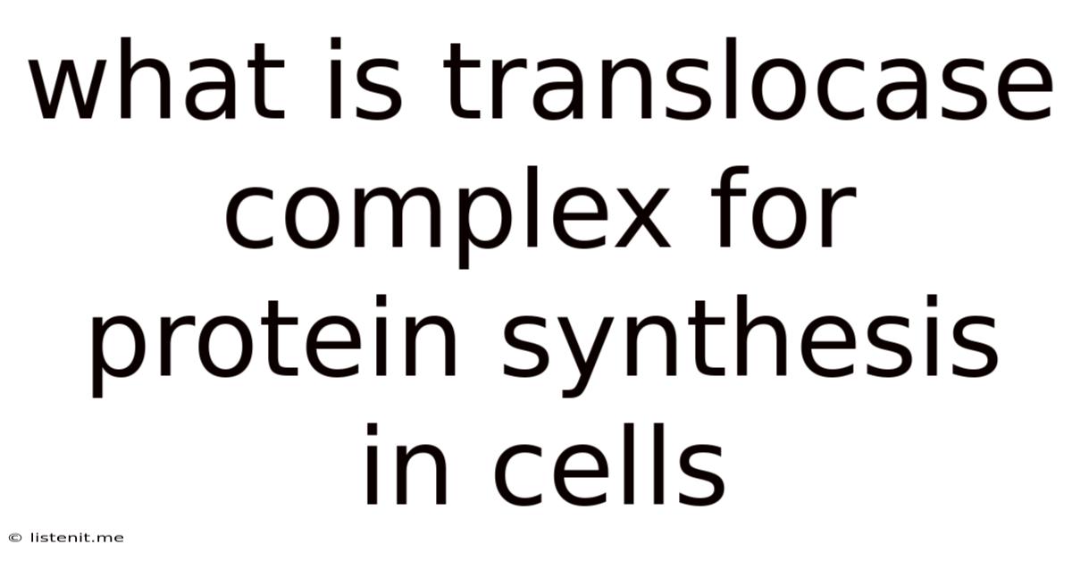 What Is Translocase Complex For Protein Synthesis In Cells