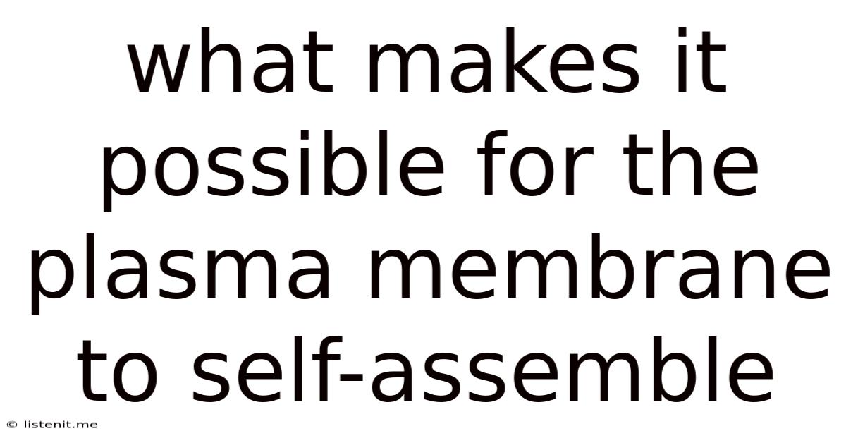What Makes It Possible For The Plasma Membrane To Self-assemble