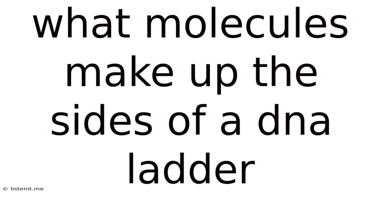 What Molecules Make Up The Sides Of A Dna Ladder