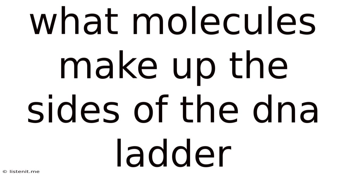 What Molecules Make Up The Sides Of The Dna Ladder