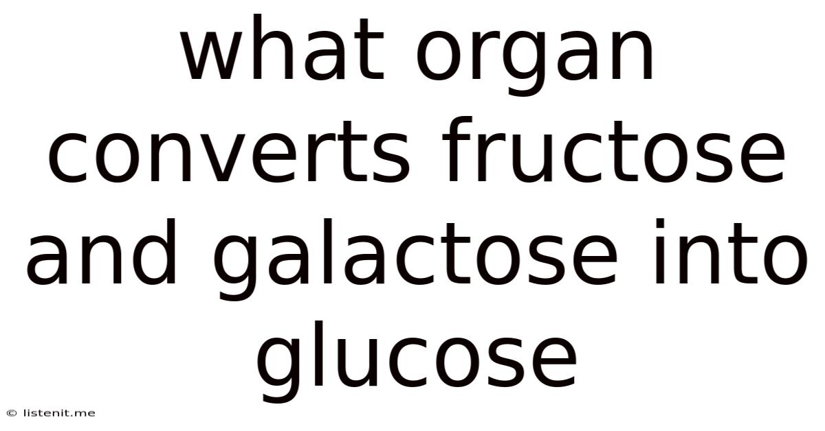 What Organ Converts Fructose And Galactose Into Glucose