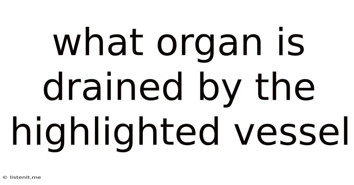 What Organ Is Drained By The Highlighted Vessel