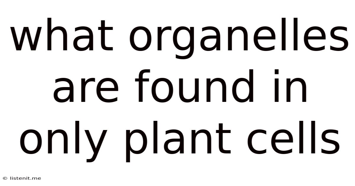 What Organelles Are Found In Only Plant Cells
