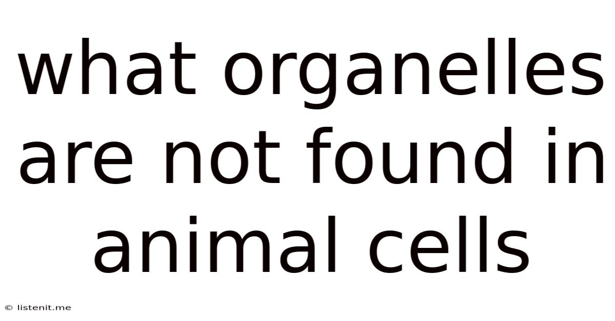 What Organelles Are Not Found In Animal Cells