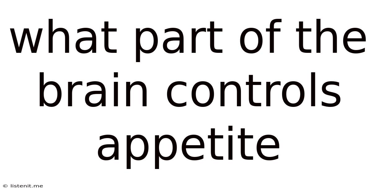 What Part Of The Brain Controls Appetite