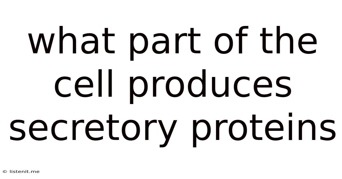 What Part Of The Cell Produces Secretory Proteins